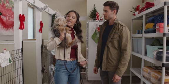 kennel scene from shelter and seasons greetings