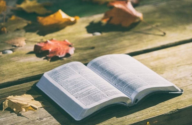 10 Bible Supplies You Can't Do Without